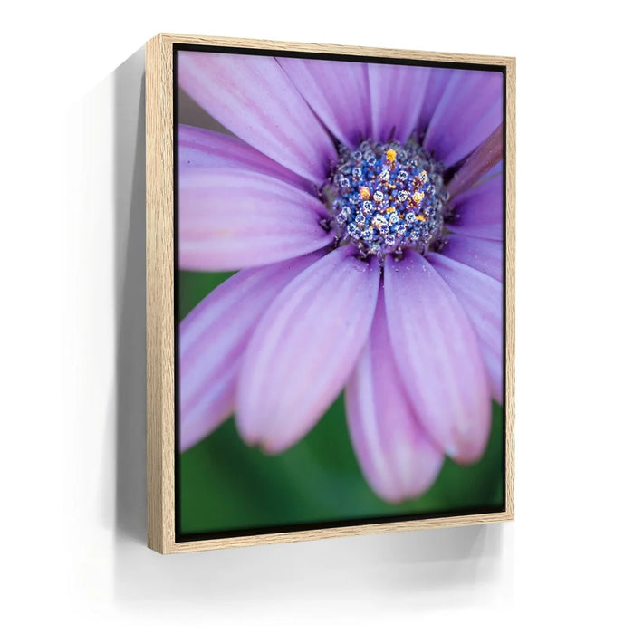 Featured image 9 for Inner Bouquet