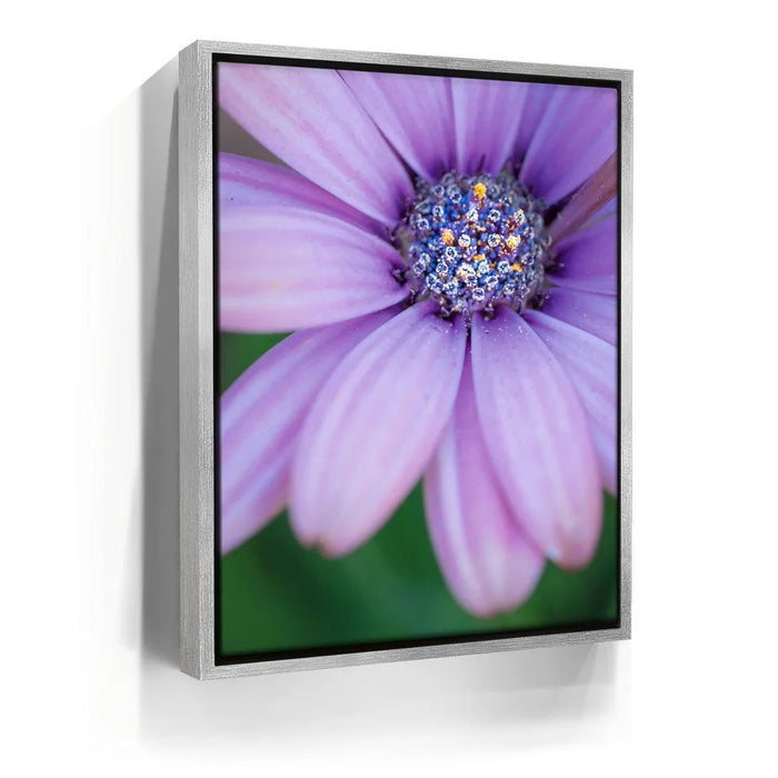 Featured image 8 for Inner Bouquet