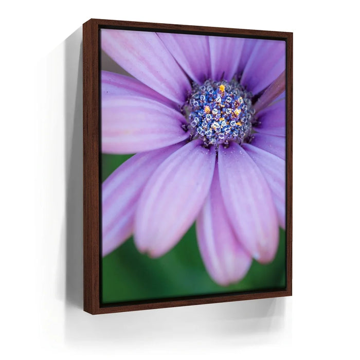 Featured image 10 for Inner Bouquet