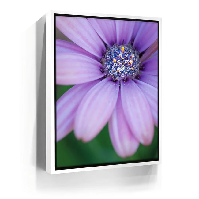 Featured image 6 for Inner Bouquet