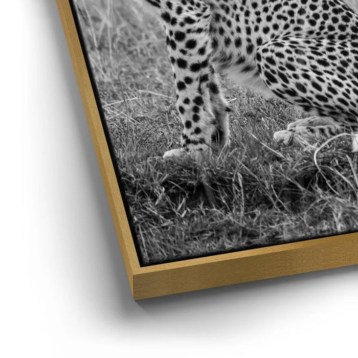 Featured image 12 for Intention