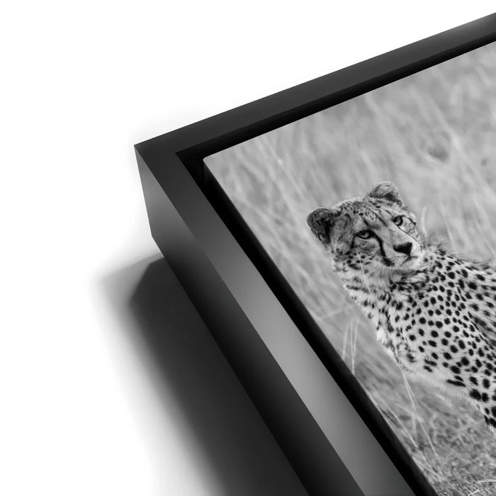 Featured image 11 for Intention