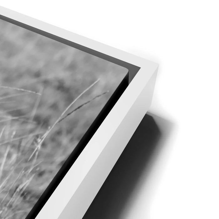 Featured image 13 for Intention