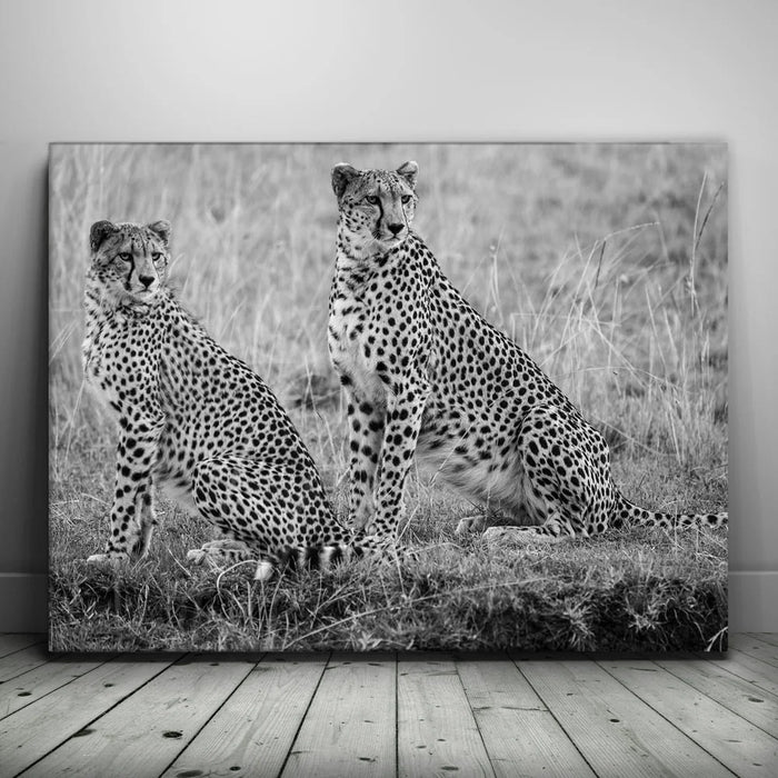 Featured image 1 for Intention