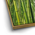 Thumbnail image 13 for Into the Bamboo Grove