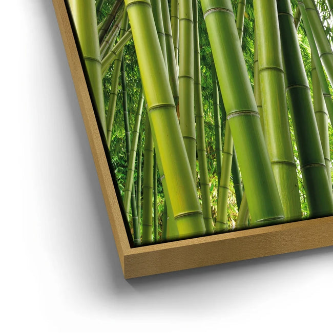 Featured image 13 for Into the Bamboo Grove