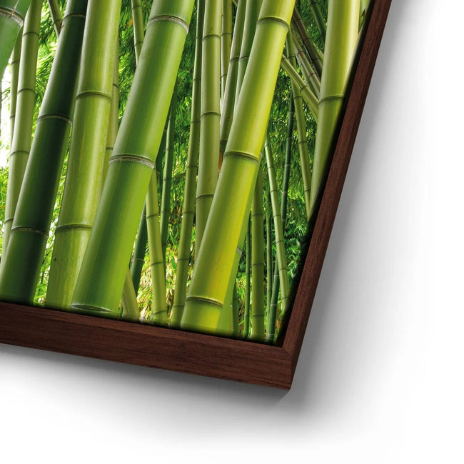 Featured image 15 for Into the Bamboo Grove