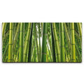 Featured image 1 for Into the Bamboo Grove