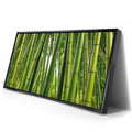 Thumbnail image 2 for Into the Bamboo Grove