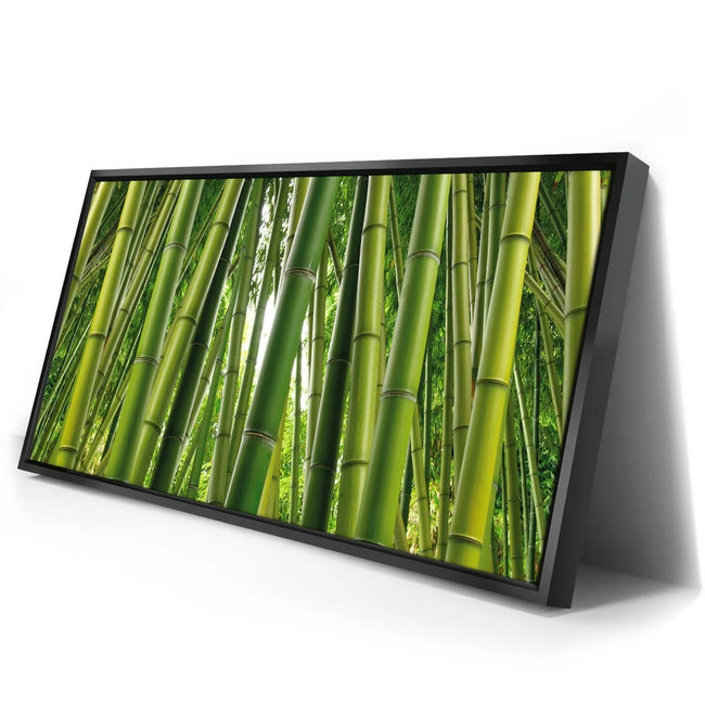 Featured image 2 for Into the Bamboo Grove