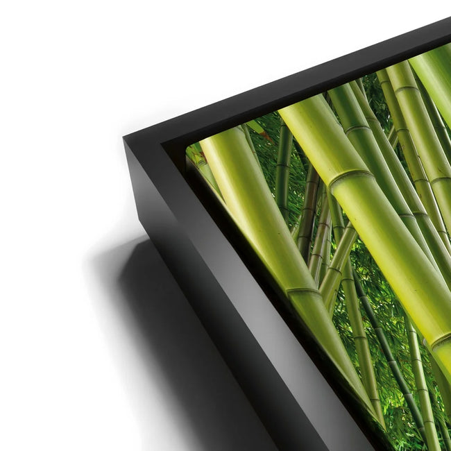 Featured image 12 for Into the Bamboo Grove