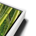 Thumbnail image 14 for Into the Bamboo Grove