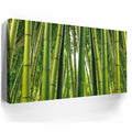 Thumbnail image 3 for Into the Bamboo Grove