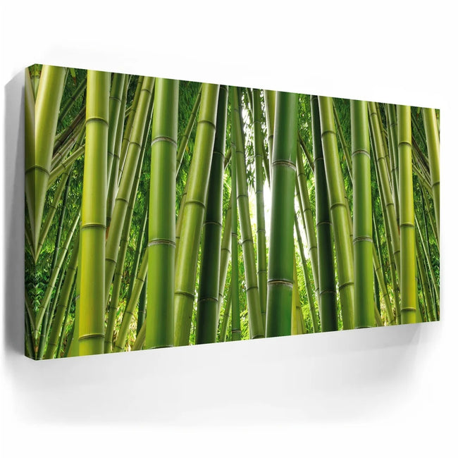 Featured image 3 for Into the Bamboo Grove