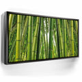 Featured image 6 for Into the Bamboo Grove