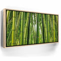 Featured image 10 for Into the Bamboo Grove