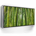 Featured image 9 for Into the Bamboo Grove