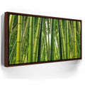 Featured image 11 for Into the Bamboo Grove