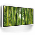 Featured image 7 for Into the Bamboo Grove