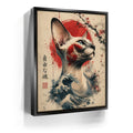 Featured image 6 for Japanese Free Spirit Sphynx