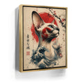 Featured image 8 for Japanese Free Spirit Sphynx