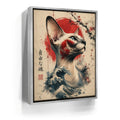 Featured image 9 for Japanese Free Spirit Sphynx