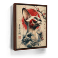 Featured image 11 for Japanese Free Spirit Sphynx