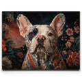 Featured image 1 for Japanese Frenchie