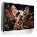 Featured image 9 for Japanese Frenchie