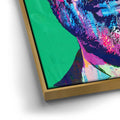 Thumbnail image 12 for Jimmy Kimmel Canvas Set