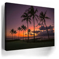 Thumbnail image 3 for Kapalua Palms at Sunset