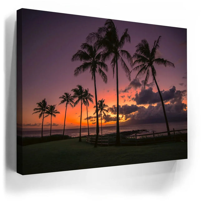 Featured image 3 for Kapalua Palms at Sunset