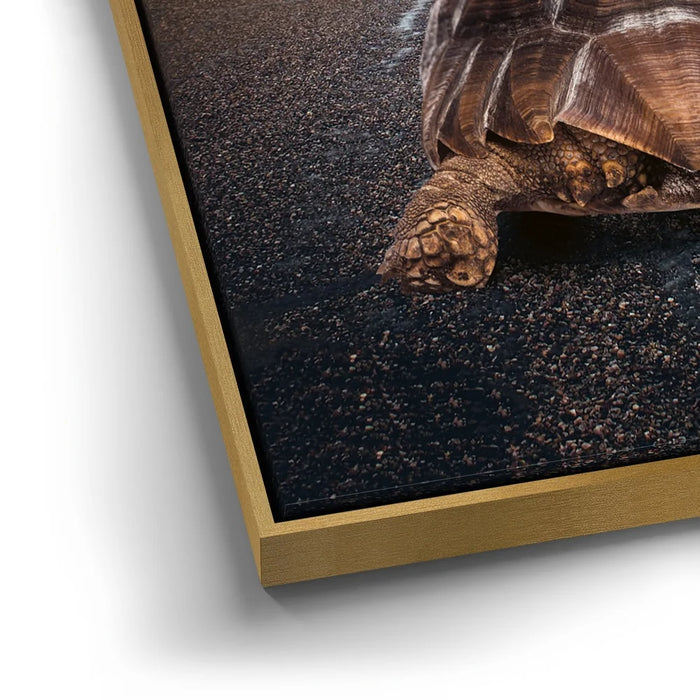 Featured image 12 for Keep Going - Moon