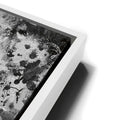 Thumbnail image 13 for Kiss The Sky - Black & White