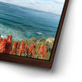 Thumbnail image 14 for La Jolla Coast Wildflowers