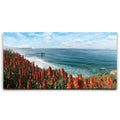 Featured image 1 for La Jolla Coast Wildflowers