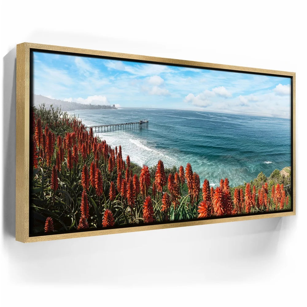 Featured image 7 for La Jolla Coast Wildflowers