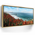 Featured image 7 for La Jolla Coast Wildflowers