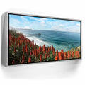 Featured image 8 for La Jolla Coast Wildflowers