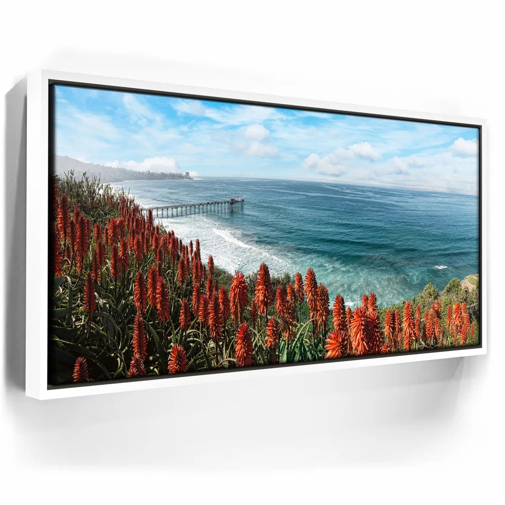 Featured image 6 for La Jolla Coast Wildflowers
