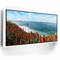 Featured image 6 for La Jolla Coast Wildflowers