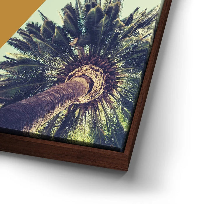 Featured image 14 for LA Sunshine