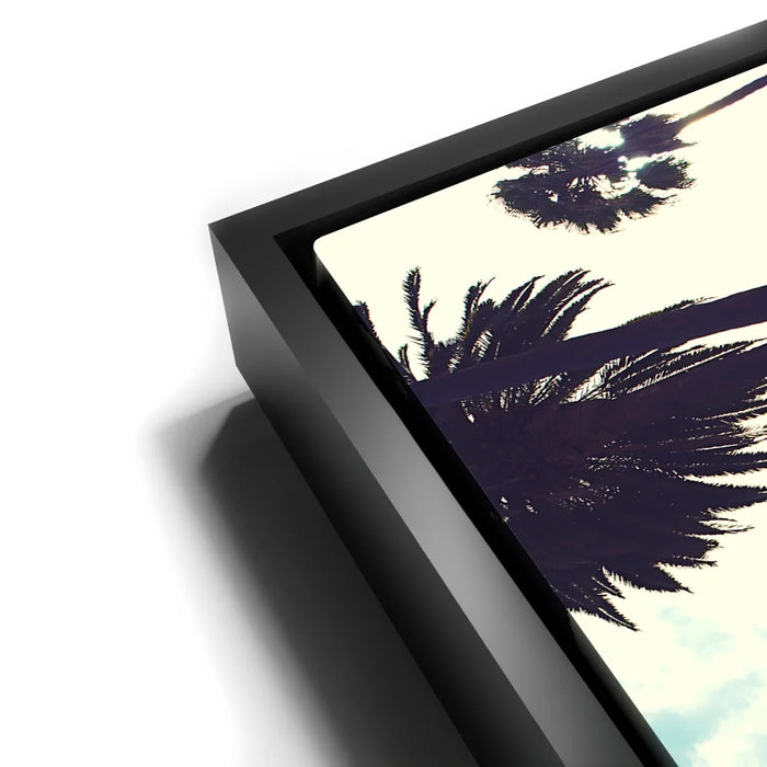 Featured image 11 for LA Sunshine