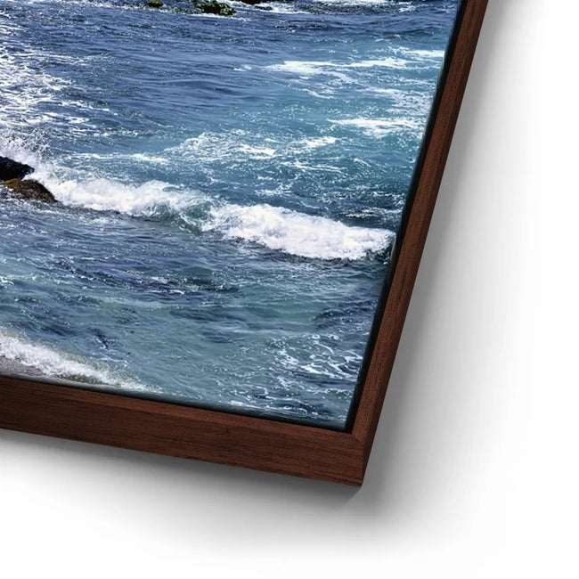 Featured image 15 for La Jolla Breakers