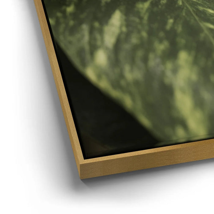 Featured image 12 for Layers of Green - Maui, Hawaii