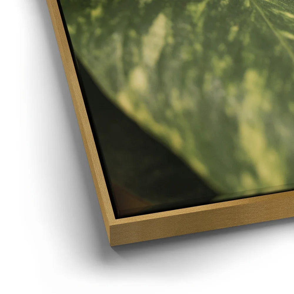 Featured image 12 for Layers of Green - Maui, Hawaii