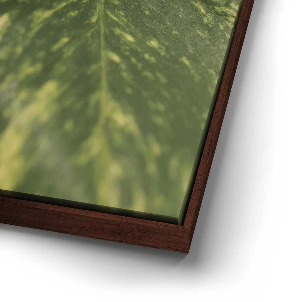 Featured image 14 for Layers of Green - Maui, Hawaii