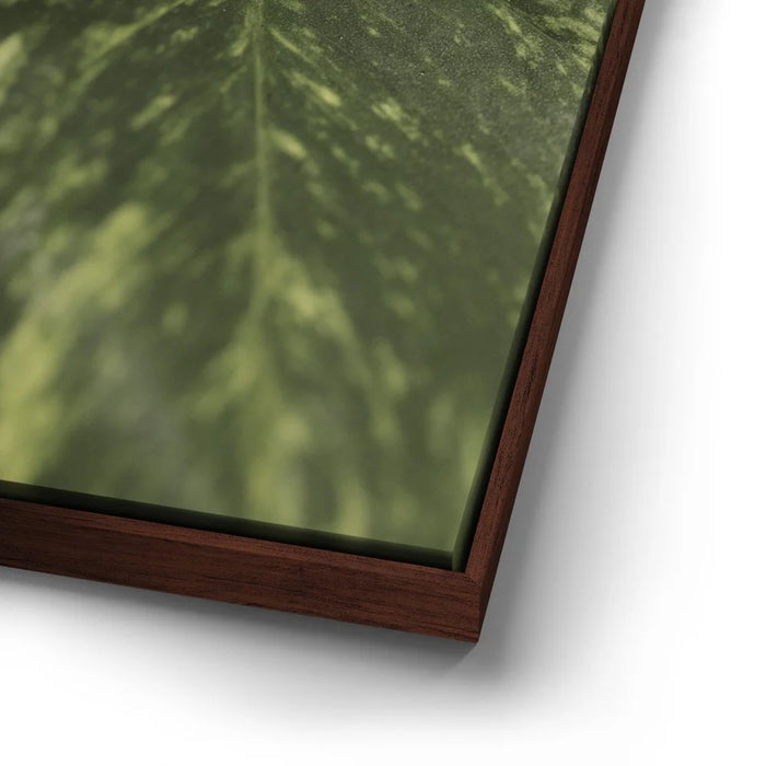 Featured image 14 for Layers of Green - Maui, Hawaii