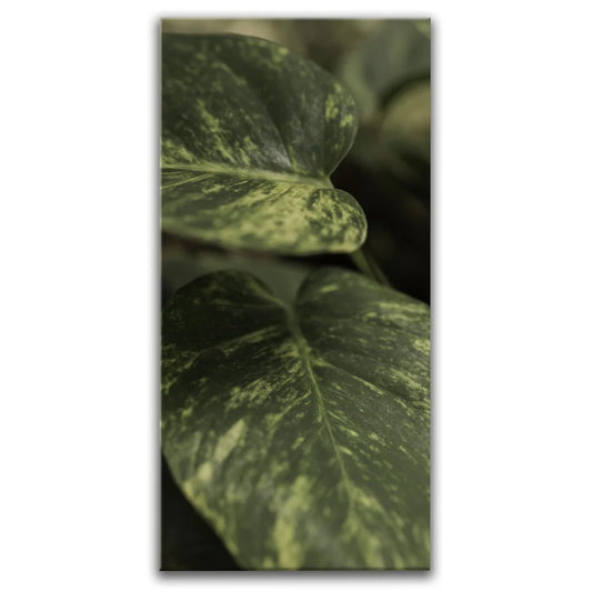 Layers of Green - Maui, Hawaii Posters, Prints, & Visual Artwork TheGoatWallArt