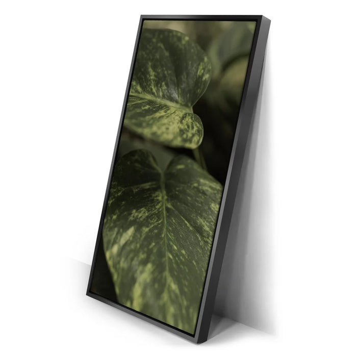 Featured image 2 for Layers of Green - Maui, Hawaii